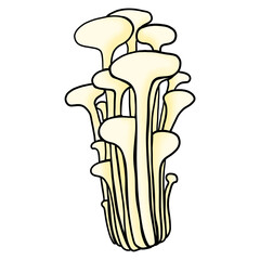 golden needle mushrooms