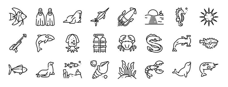 set of 24 outline web sea life icons such as anglerfish, flippers, walrus, swordfish, squid, sun, seahorse vector icons for report, presentation, diagram, web design, mobile app