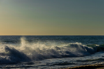 Olas