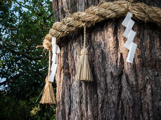 神社のしめ縄