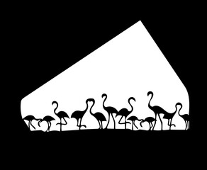 Flamingos