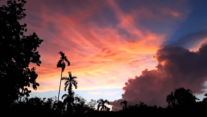 Create beauty of landscape saw mountains, betel palm coconut trees, with blue sky mix golden...