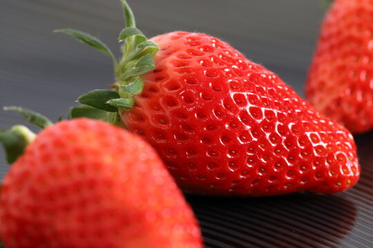 The garden strawberry is a widely grown hybrid species of the genus Fragaria, collectively known as the strawberries, which are cultivated worldwide for their fruit.