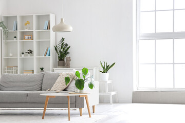 Interior of light living room with grey sofa, coffee table and big window