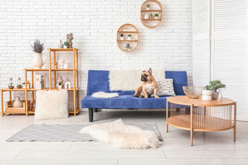 Cute French bulldog sitting on sofa in living room - obrazy, fototapety, plakaty