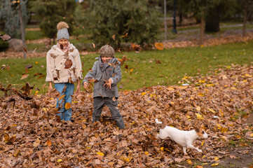 Caucasian children playing with dog jack russell terrier in autumn park. 