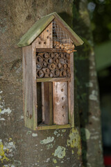 petit hôtel à insecte installé sur un tronc d'arbre