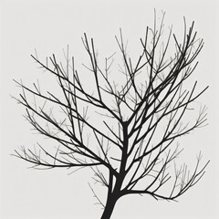 silhouette of tree