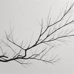 branches with snow
