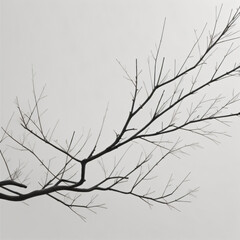 Obraz premium branches with snow