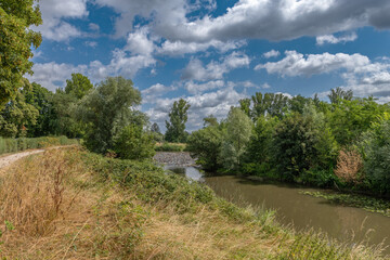 Fototapeta na wymiar Renatured river landscape at the Nidda in Frankfurt, Germany