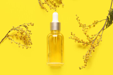 Composition with bottle of essential oil and dried mimosa flowers on yellow background