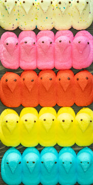Multicolored Peeps marshmallow chicks background. San Diego, CA USA on April 3, 2021.