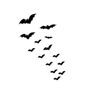 Horrific black bats swarm