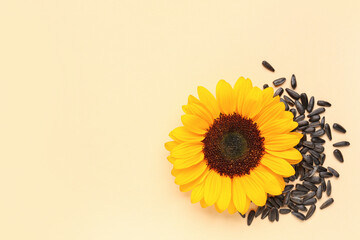 Beautiful sunflower and seeds on beige background