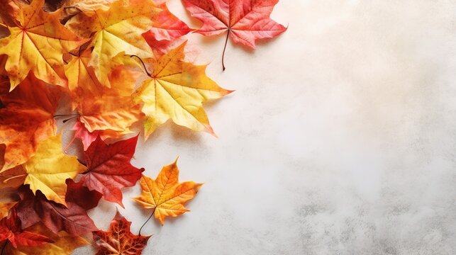 Yellow and red autumn leaves of trees on a light background, autumn background, copy space. Generative AI