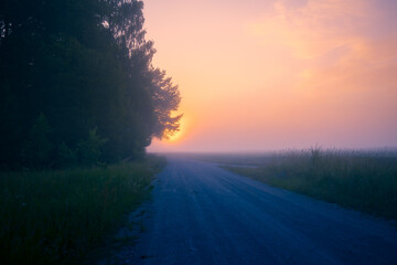 Misty Pathways: Enchanting Gravel Dirt Country Road in a Summer Morning Fog in Northern Europe