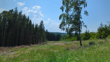 Blue sky with cloud and green field. nature background