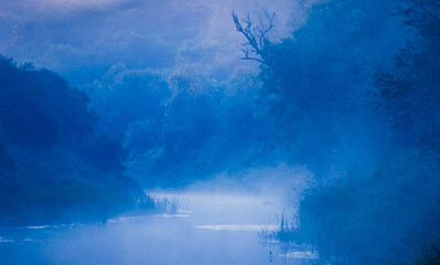 Fototapeta na wymiar Mystical Dawn: Serene Summer Sunrise Painting the River in Cool Hues in Northern Europe