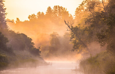 Fototapeta premium Golden Dawn: Majestic Misty Sunrise over a River Landscape in Northern Europe