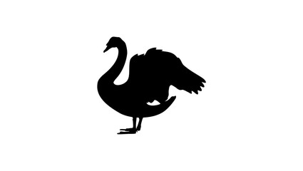 swan silhouette