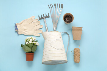Fototapeta na wymiar Different gardening tools and plant on blue background