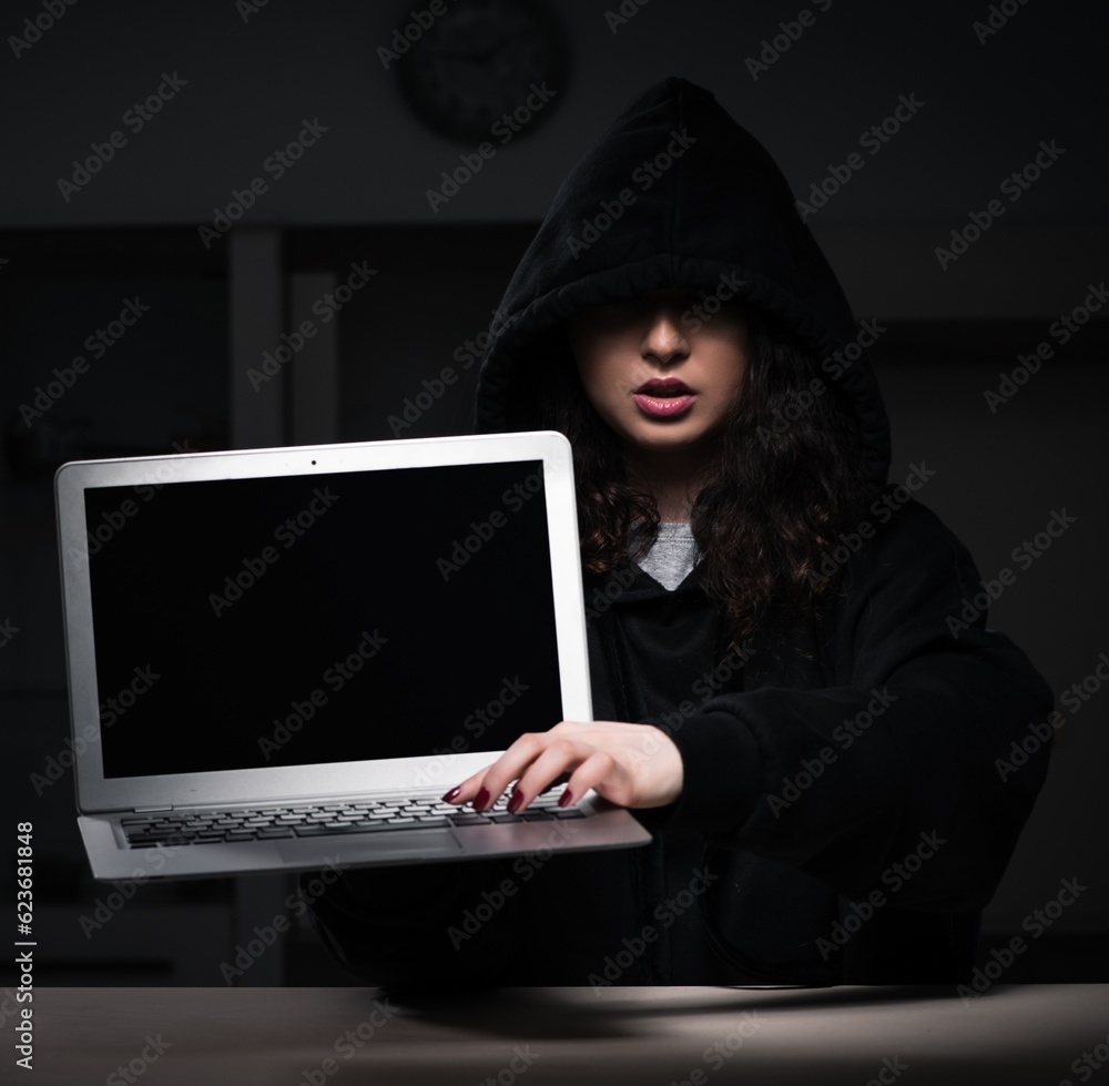 Poster female hacker hacking security firewall late in office