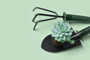 Gardening rake and shovel with plant on green background