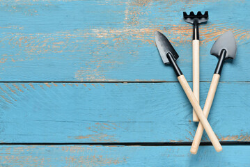 Gardening rake and shovels on blue wooden background