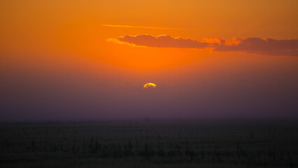 Mystical Dawn: Serene Foggy Sunrise Embracing Summer Fields in Northern Europe