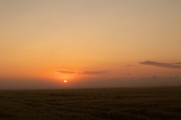 Fototapeta na wymiar Mystical Dawn: Serene Foggy Sunrise Embracing Summer Fields in Northern Europe