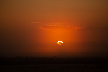 Mystical Dawn: Serene Foggy Sunrise Embracing Summer Fields in Northern Europe
