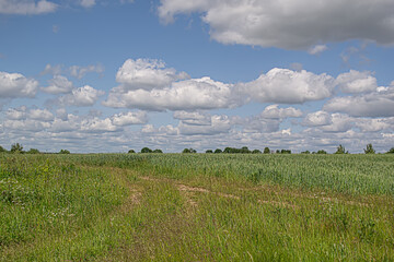 A typical landscape on the Central Russian upland, which is located on the Russian plain