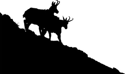 The Tatra Chamois, Rupicapra rupicapra tatrica. Dark silhouette of a chamois an a rocky cliff in a white background with a copy space vector image. - obrazy, fototapety, plakaty