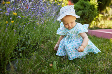 cute baby girl in dress in lavender in summer