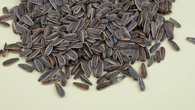sunflower seeds 