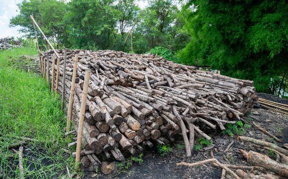Pile of wood logs or scraps of wood for recycle in furniture factory or burning to be charcoal background texture abstract.