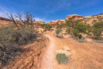 hiking the chesler park loop trail in the needles in canyonlands national park, usa