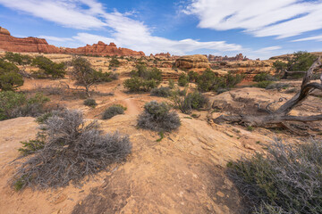 hiking the chesler park loop trail in the needles in canyonlands national park, usa