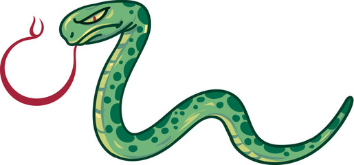 Green snake on white background
