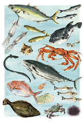 水彩で描いた色々な海鮮のイラスト