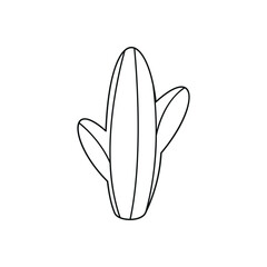 Hand drawn linear vector illustration of a cactus
