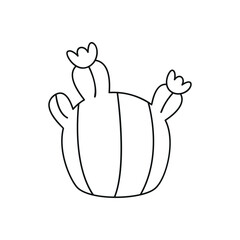 Hand drawn linear vector illustration of a cactus