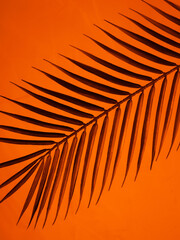 Palm branch on orange background. Tropical palm branch silhouette. Abstract background.