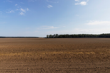 agricultural field plowed for sowing grain
