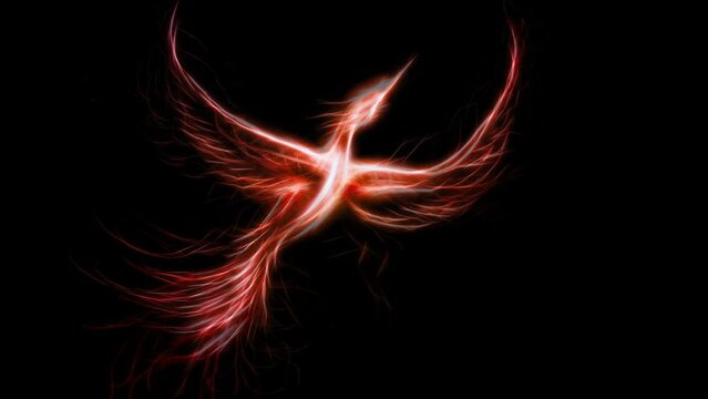 Flying phoenix bird as symbol of rebirth and new beginning. Loop Animation.