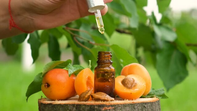 Apricot kernel oil in a bottle. Selective focus.