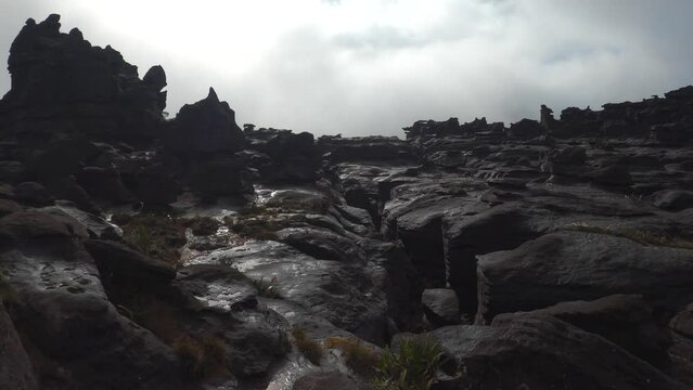 Panorama of Tepui Roraima flat topped mount with black volcanic rock formations, Canaima National Park, Venezuela, South America