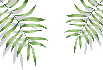 植物の葉と葉の影が映るおしゃれな背景