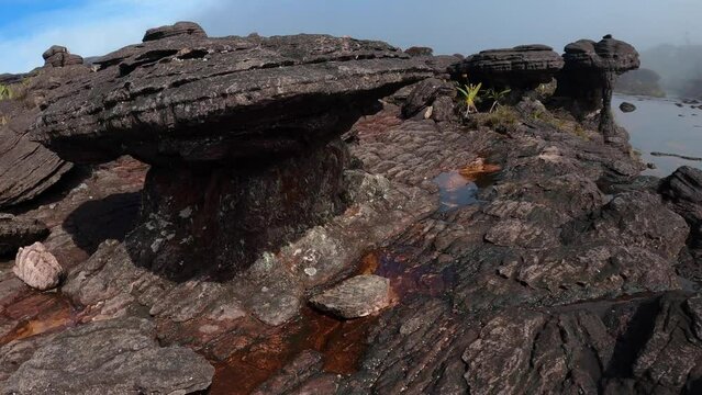 POV trekking on flat top area of Mount Roraima with black rock formations and rain water in crevices, Canaima National Park, Venezuela, South America